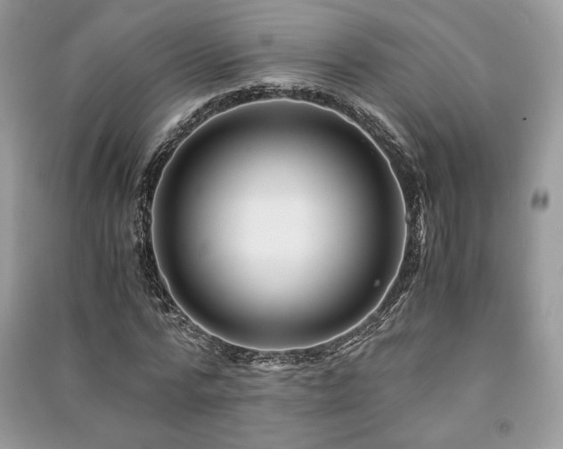 X0000091220776200708091407