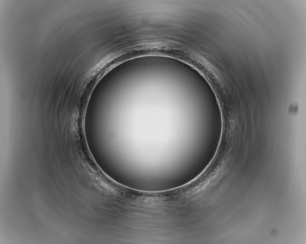 X0000091220778200708091407