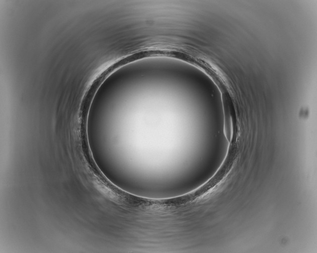 X0000091220779200708091407