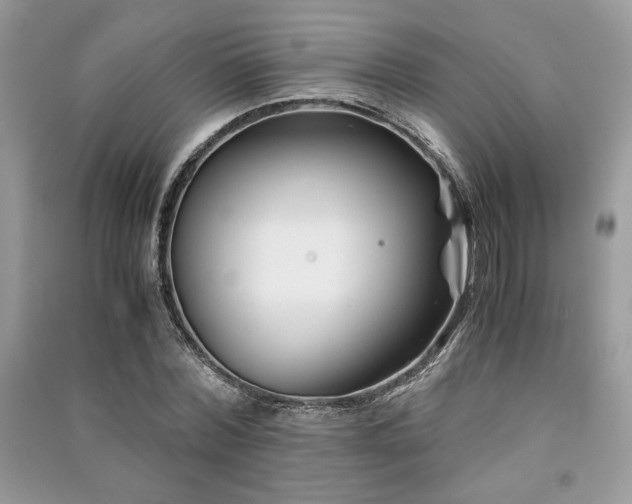 X0000091220780200708091407