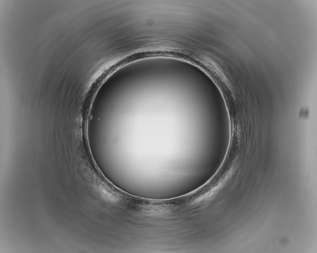 X0000091220781200708091407