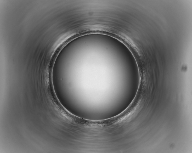 X0000091220782200708091407