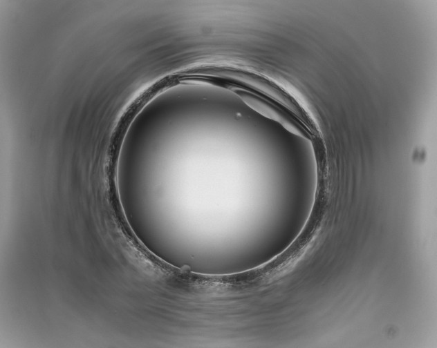 X0000091220783200708091407