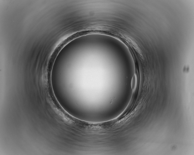 X0000091220784200708091407