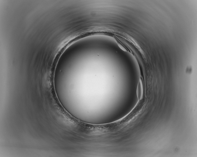X0000091220786200708091407