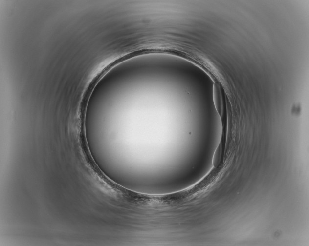 X0000091220787200708091407