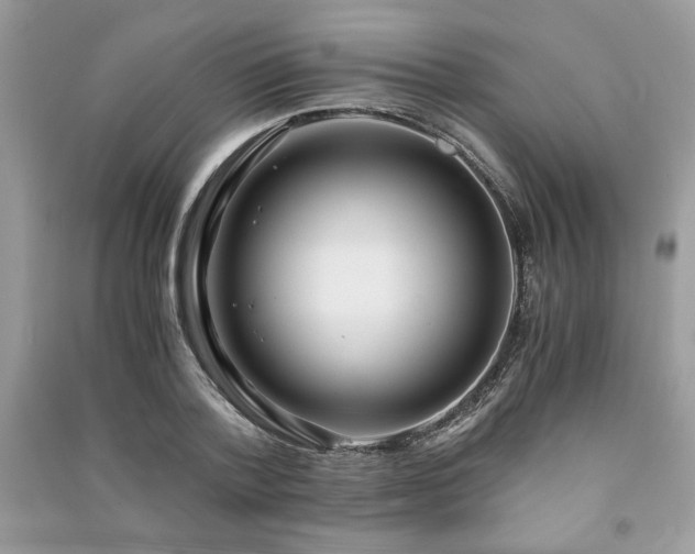 X0000091220788200708091407