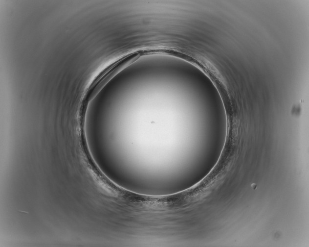 X0000091220789200708091407