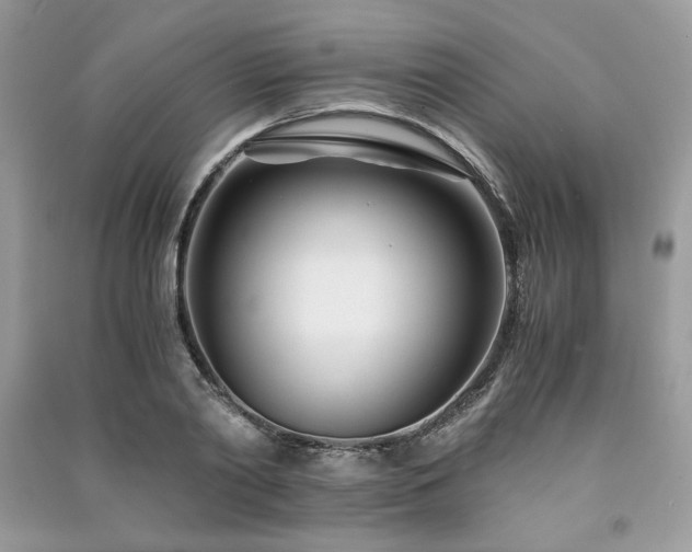 X0000091220790200708091407