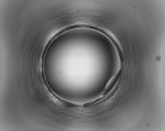 X0000091220791200708091407