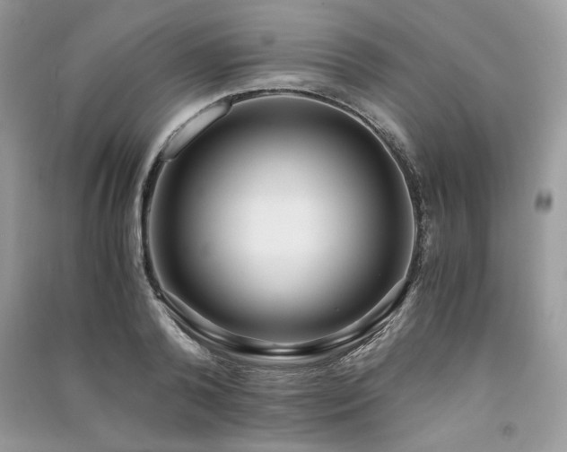 X0000091220792200708091407