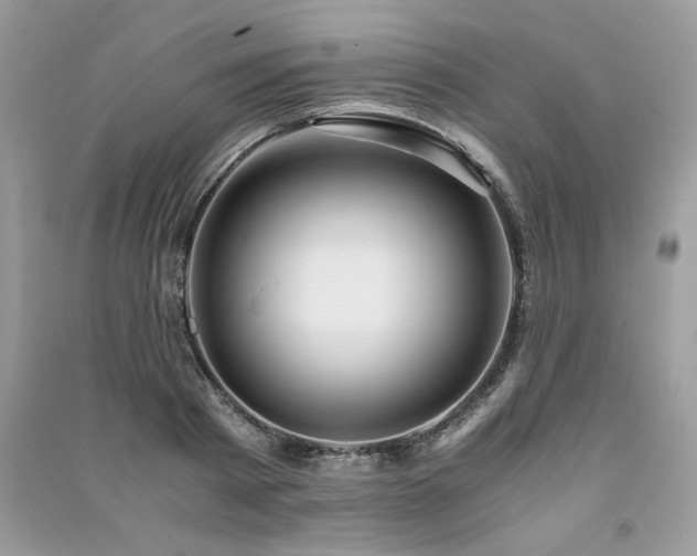 X0000091220793200708091407
