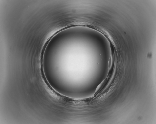 X0000091220795200708091407