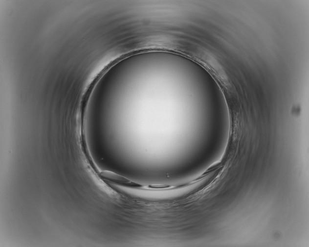 X0000091220796200708091407