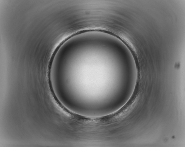 X0000091220797200708091407