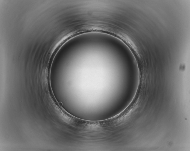 X0000091220798200708091407