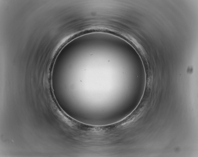 X0000091220799200708091407