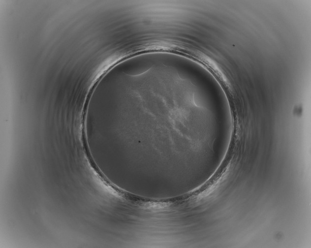 X0000091220802200708091407