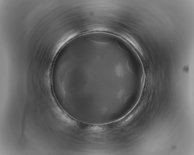 X0000091220806200708091407