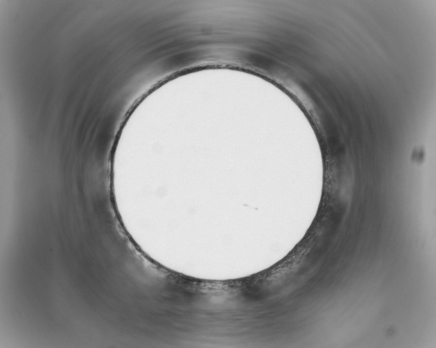 X0000091220807200708091407