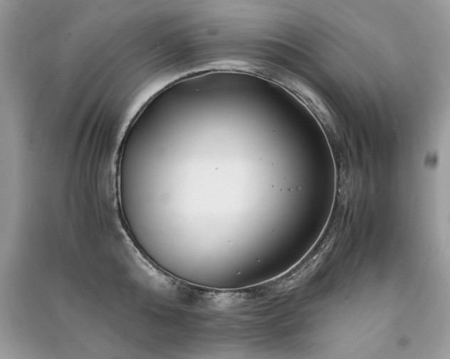 X0000091220808200708091407