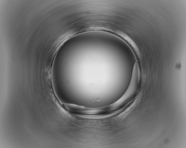 X0000091220809200708091407