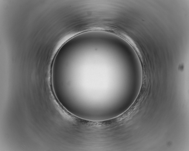 X0000091220811200708091407