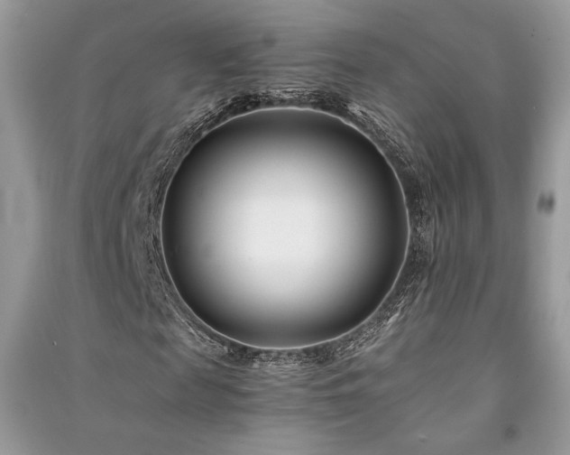 X0000091220817200708091406