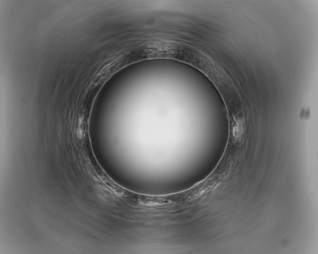 X0000091220819200708091406