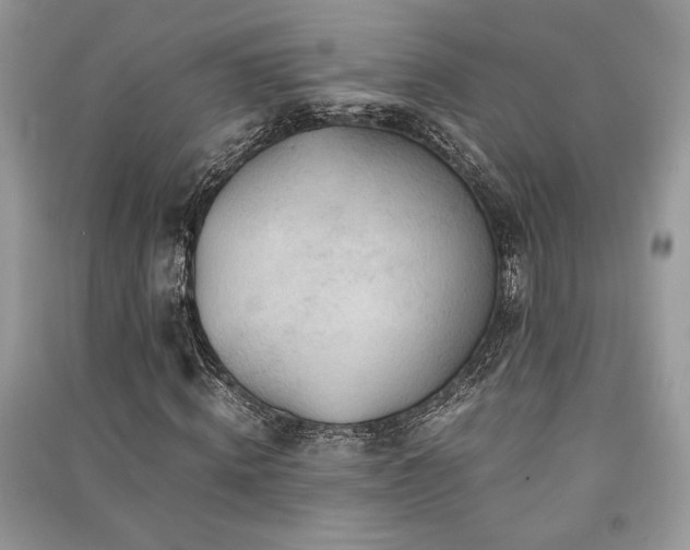 X0000091220820200708091406