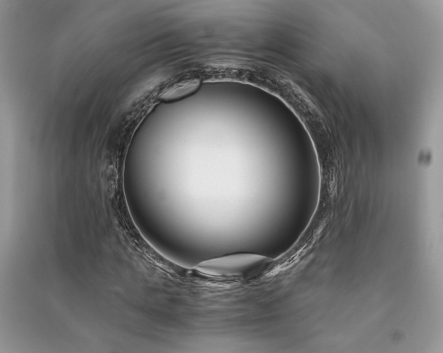 X0000091220821200708091406