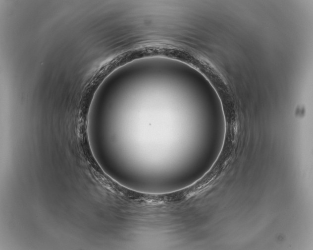 X0000091220822200708091406