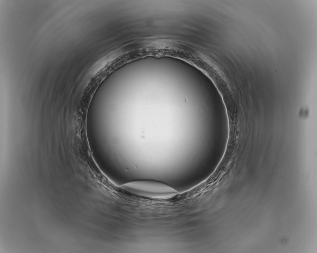 X0000091220823200708091406