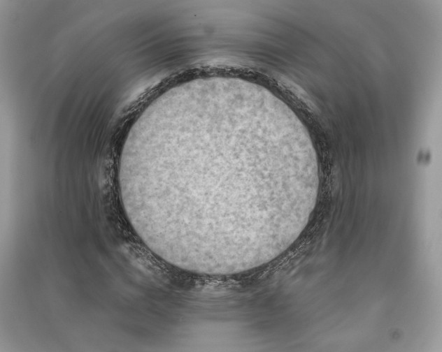 X0000091220824200708091406