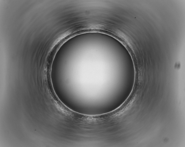 X0000091220827200708091406