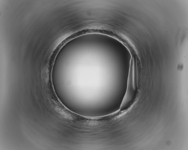 X0000091220829200708091406