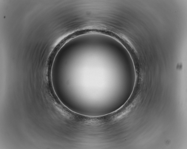X0000091220830200708091406