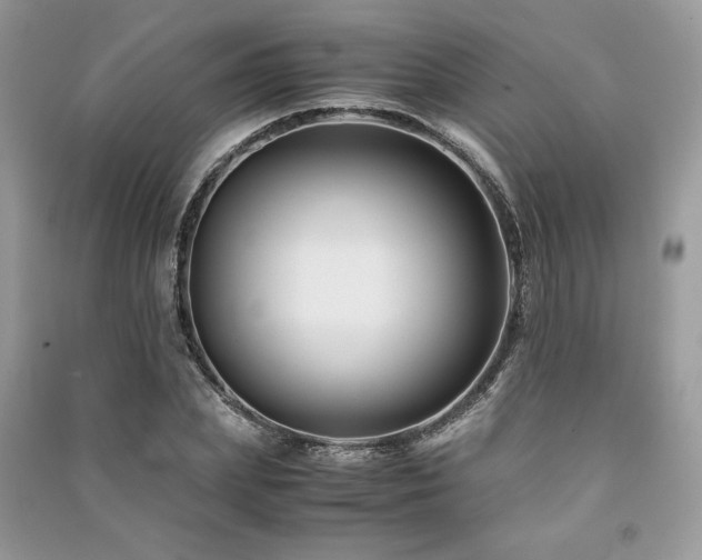 X0000091220831200708091406