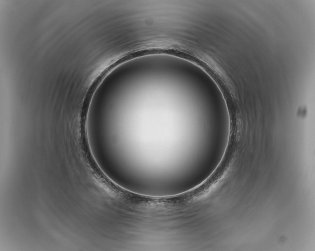 X0000091220834200708091407