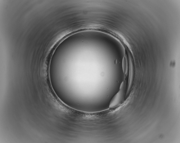 X0000091220835200708091407