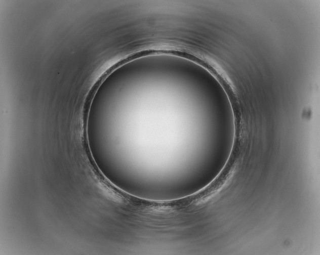 X0000091220837200708091407