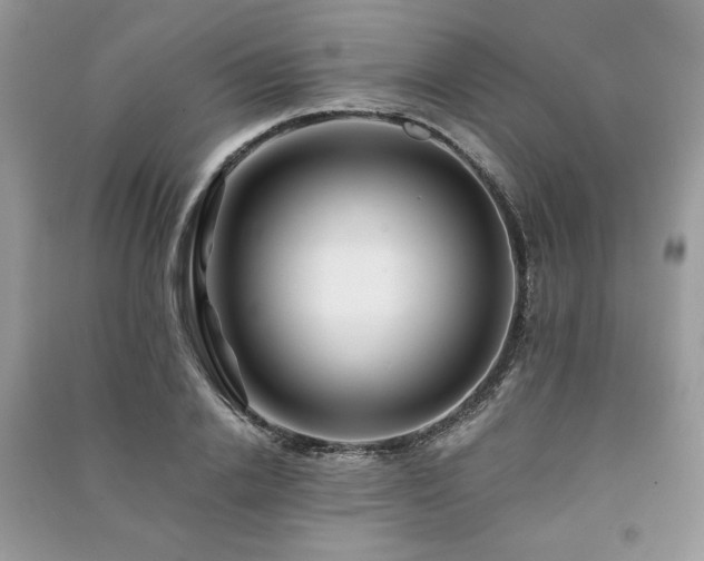 X0000091220838200708091407