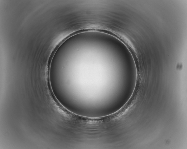 X0000091220839200708091407