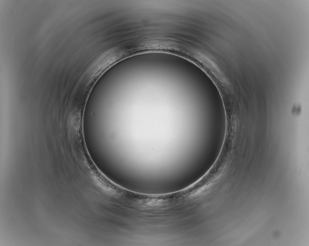 X0000091220841200708091407