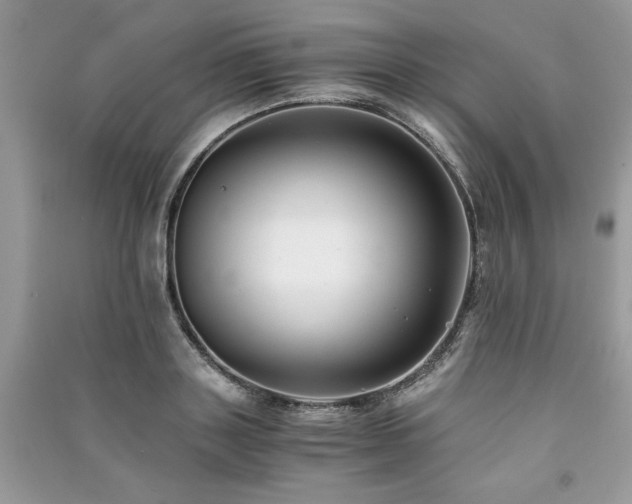 X0000091220843200708091407