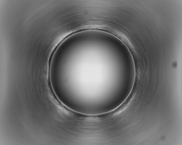 X0000091220844200708091407