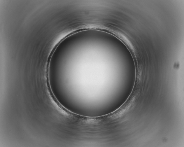 X0000091220847200708091407
