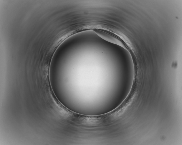 X0000091220849200708091407