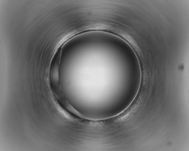 X0000091220850200708091407