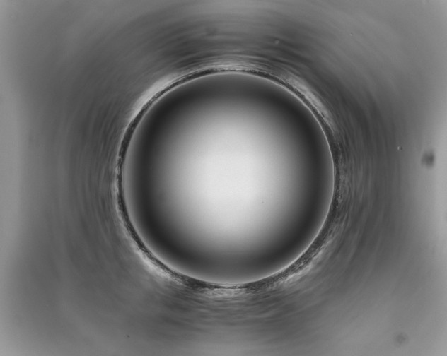 X0000091220853200708091407